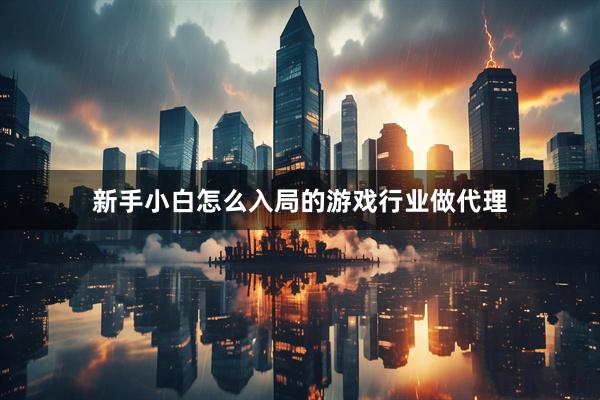 新手小白怎么入局的游戏行业做代理