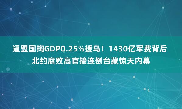 逼盟国掏GDP0.25%援乌！1430亿军费背后 北约腐败高官接连倒台藏惊天内幕